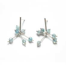VX26PE - Small Fireworks Earrings